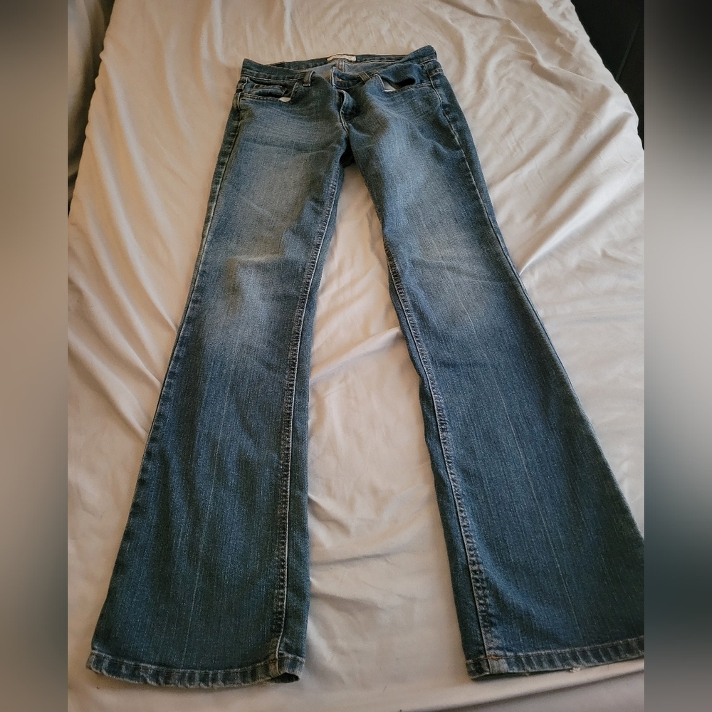American Eagle Womens Flare Jeans